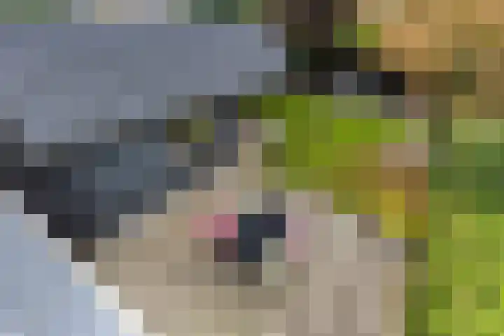 Oud-Veldzichtlaan 21 Apeldoorn thumbnail 21