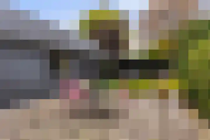 Oud-Veldzichtlaan 21 Apeldoorn thumbnail 32