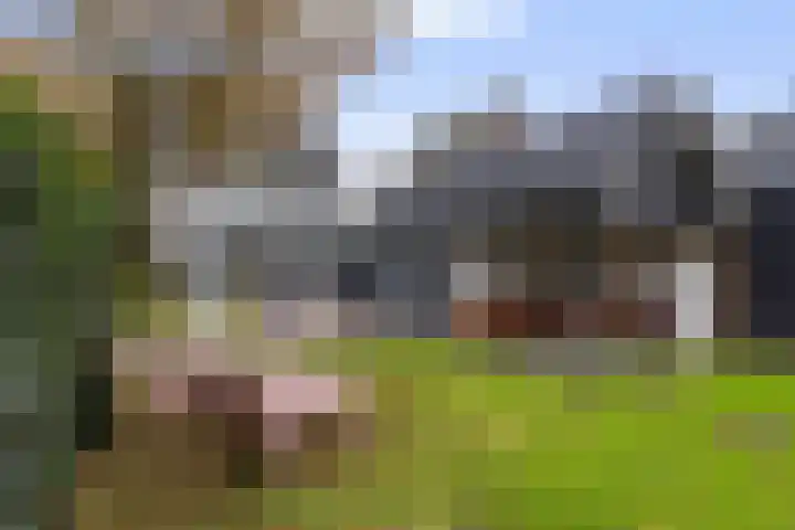 Oud-Veldzichtlaan 21 Apeldoorn thumbnail 33