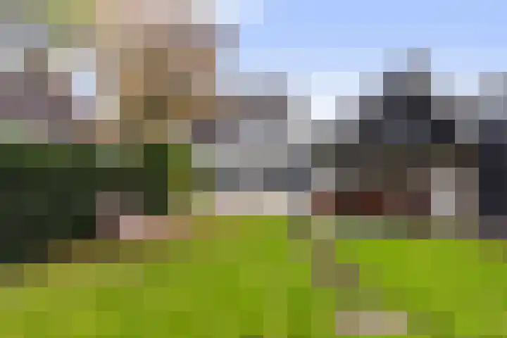 Oud-Veldzichtlaan 21 Apeldoorn thumbnail 35