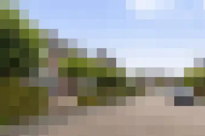 Oud-Veldzichtlaan 21 Apeldoorn thumbnail 37