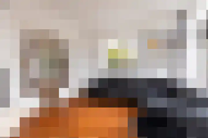 Oud-Veldzichtlaan 21 Apeldoorn thumbnail 8