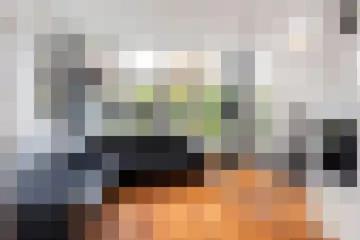 Oud-Veldzichtlaan 21 Apeldoorn thumbnail 9