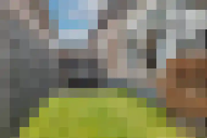 Oud-Veldzichtlaan 8 Apeldoorn thumbnail 31