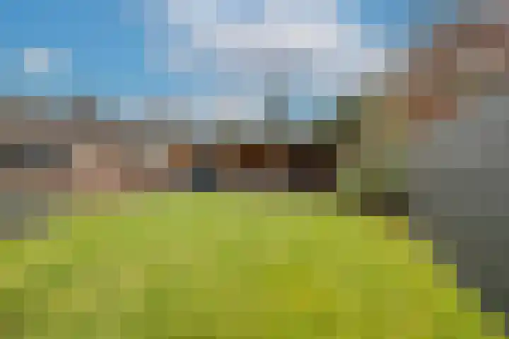 Oud-Veldzichtlaan 8 Apeldoorn thumbnail 34