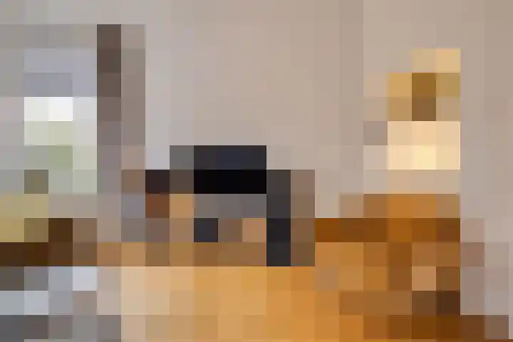 Oud-Veldzichtlaan 8 Apeldoorn thumbnail 4
