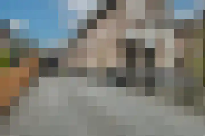Oud-Veldzichtlaan 8 Apeldoorn thumbnail 46