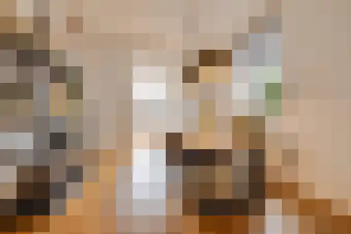 Oud-Veldzichtlaan 8 Apeldoorn thumbnail 8