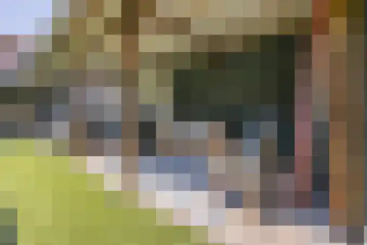 Oud Vlissingen 18 Hoek thumbnail 41