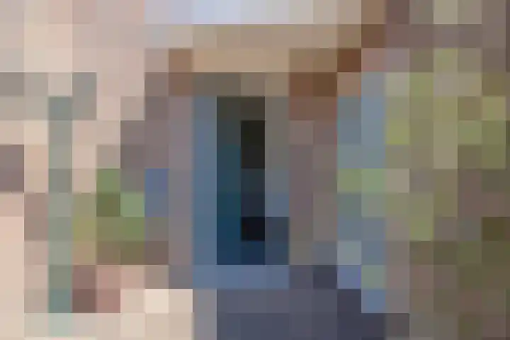 Oud Vlissingen 18 Hoek thumbnail 5
