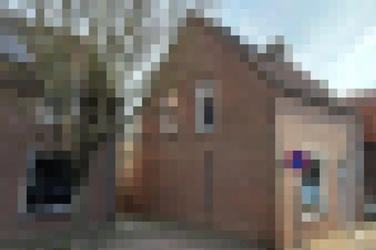 Oud Vlissingen 30 Hoek thumbnail 38