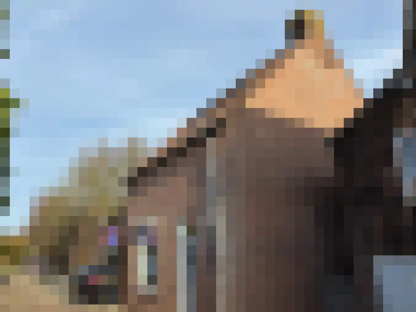 Oud Vlissingen 30 Hoek thumbnail 40