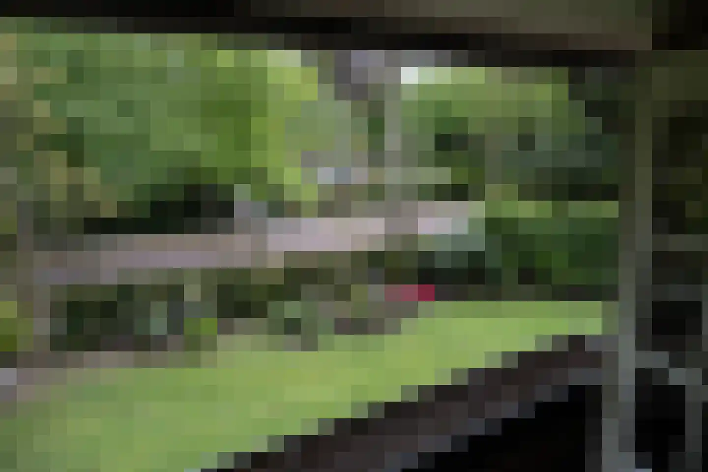 Oud Wassenaarseweg 1 Wassenaar thumbnail 19