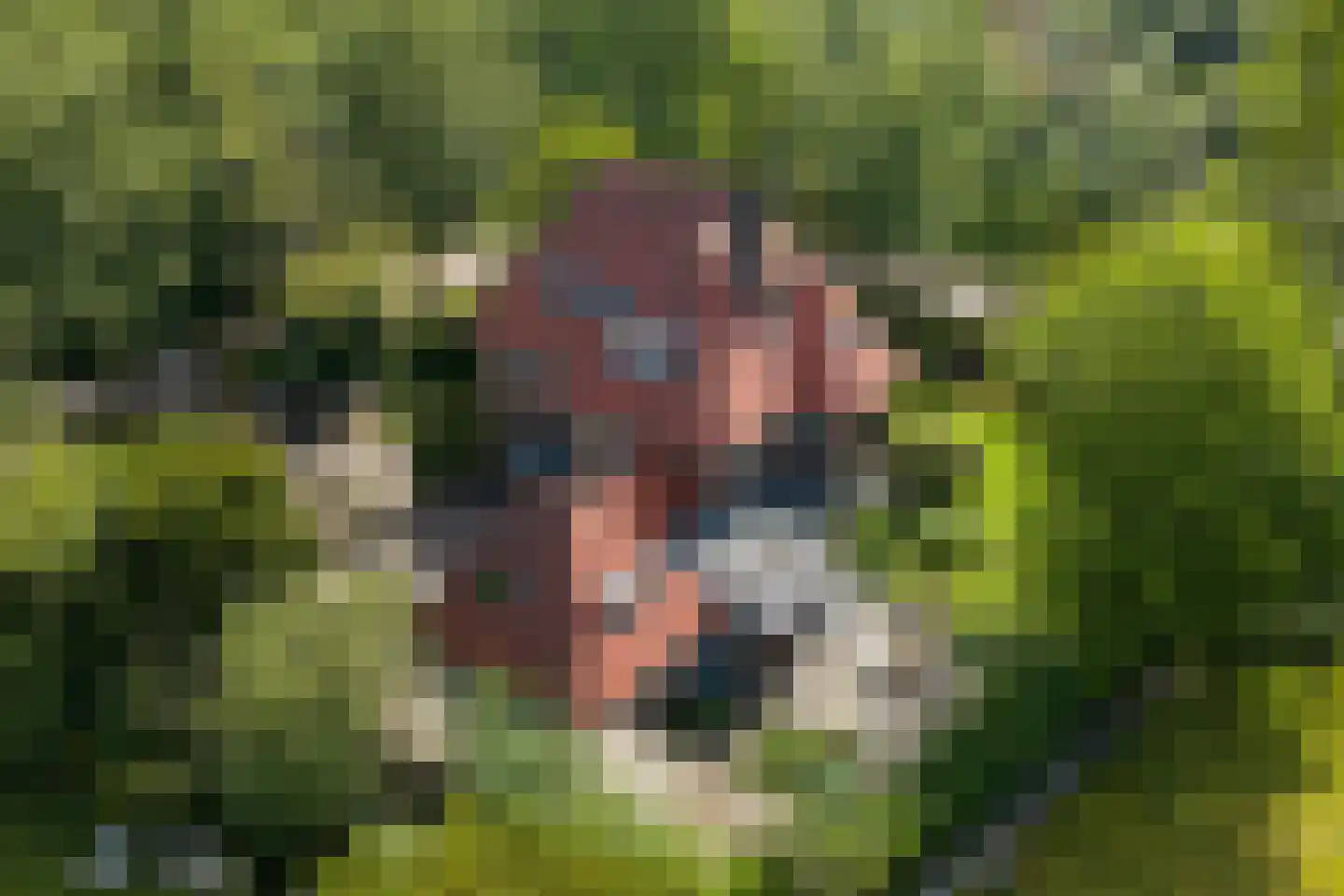 Oud Wassenaarseweg 1 Wassenaar thumbnail 22