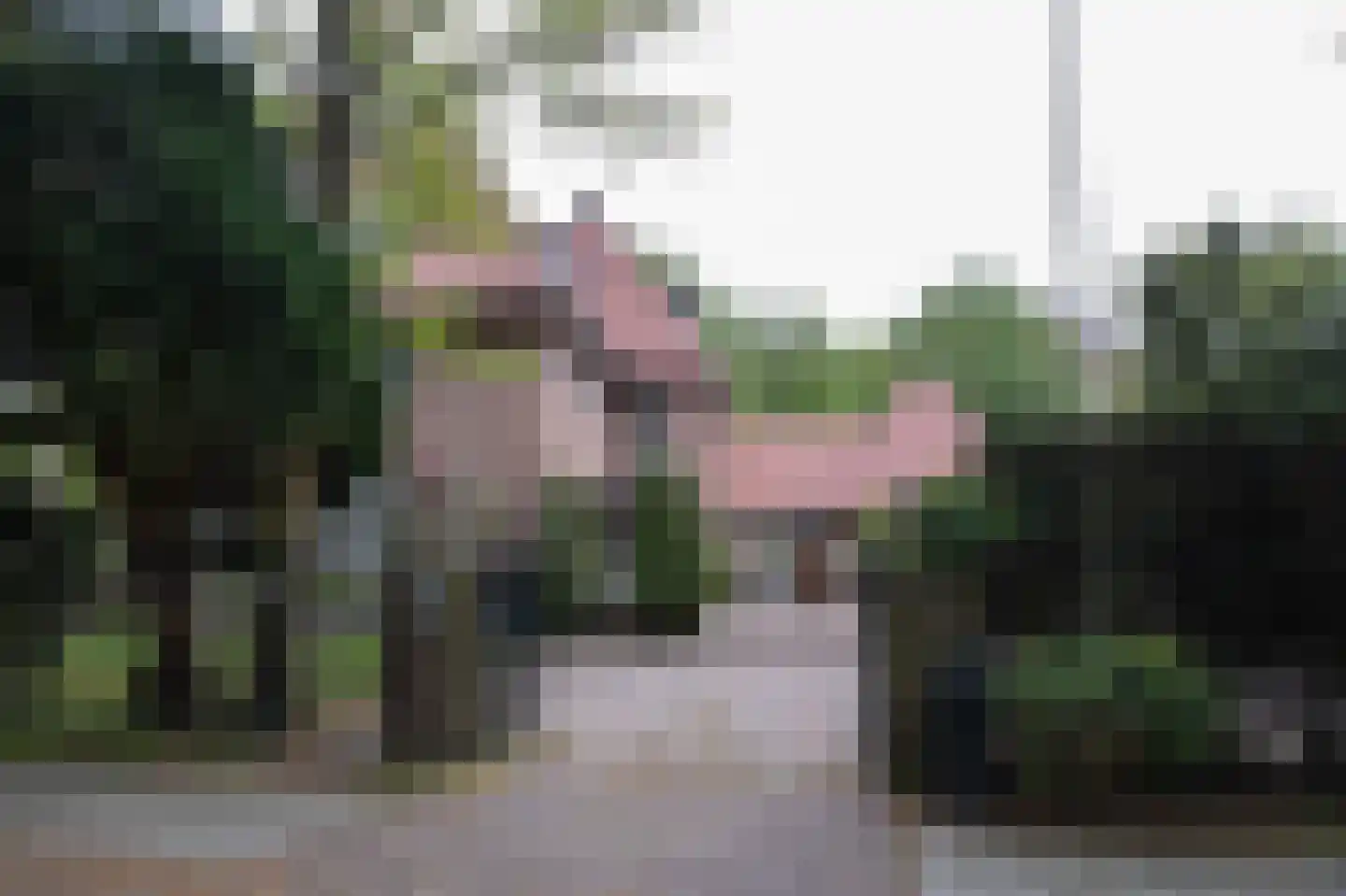Oud Wassenaarseweg 1 Wassenaar thumbnail 28