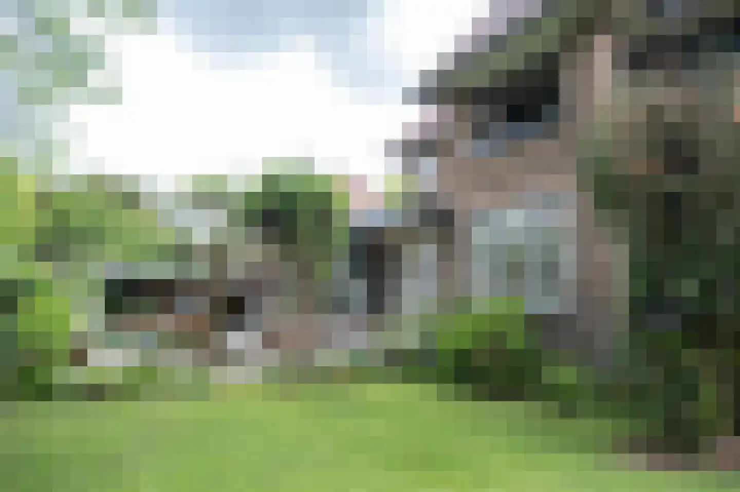 Oud Wassenaarseweg 1 Wassenaar thumbnail 30
