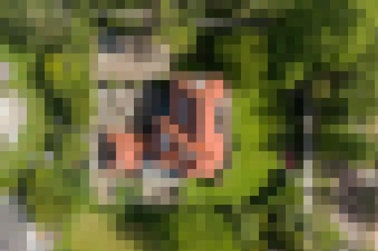 Oud Wassenaarseweg 1 Wassenaar thumbnail 33