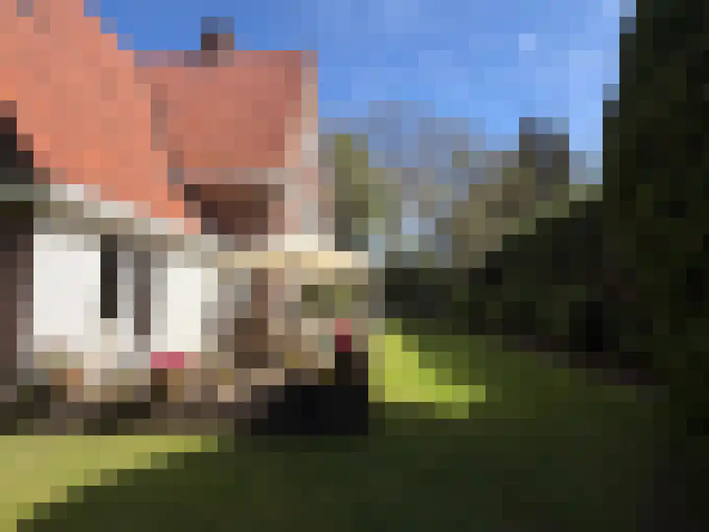 Oud Wassenaarseweg 5 Wassenaar thumbnail 23