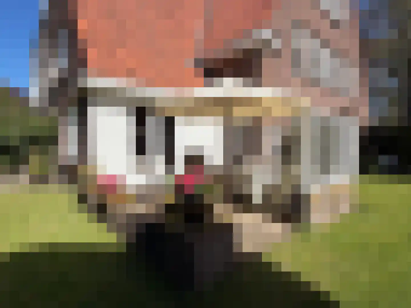 Oud Wassenaarseweg 5 Wassenaar thumbnail 24