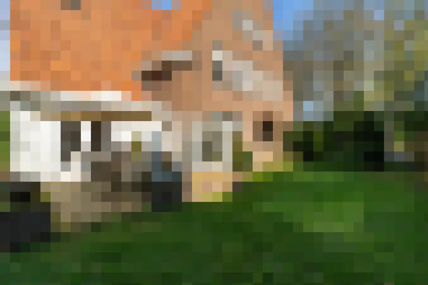 Oud Wassenaarseweg 5 Wassenaar thumbnail 25