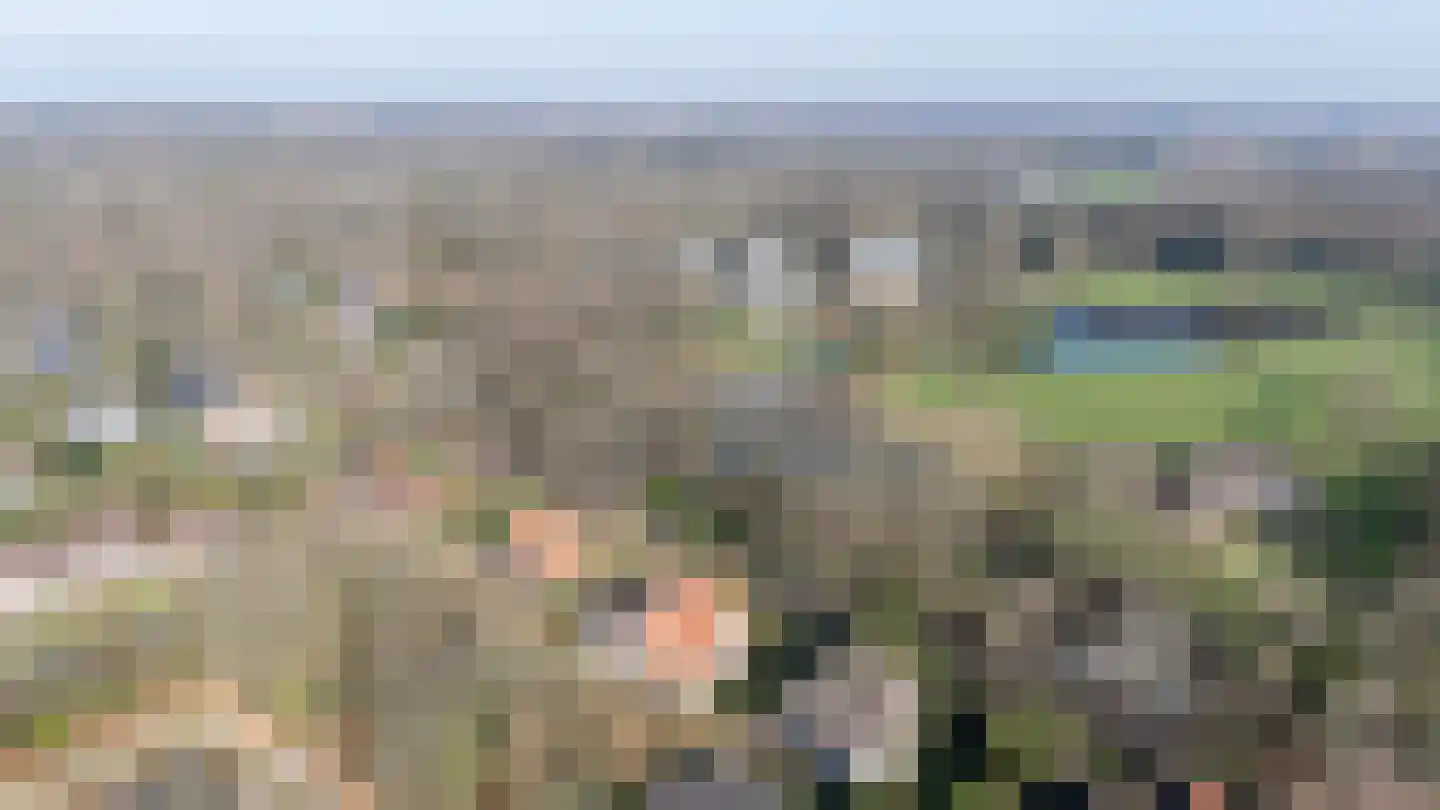 Oud Wassenaarseweg 5 Wassenaar thumbnail 5