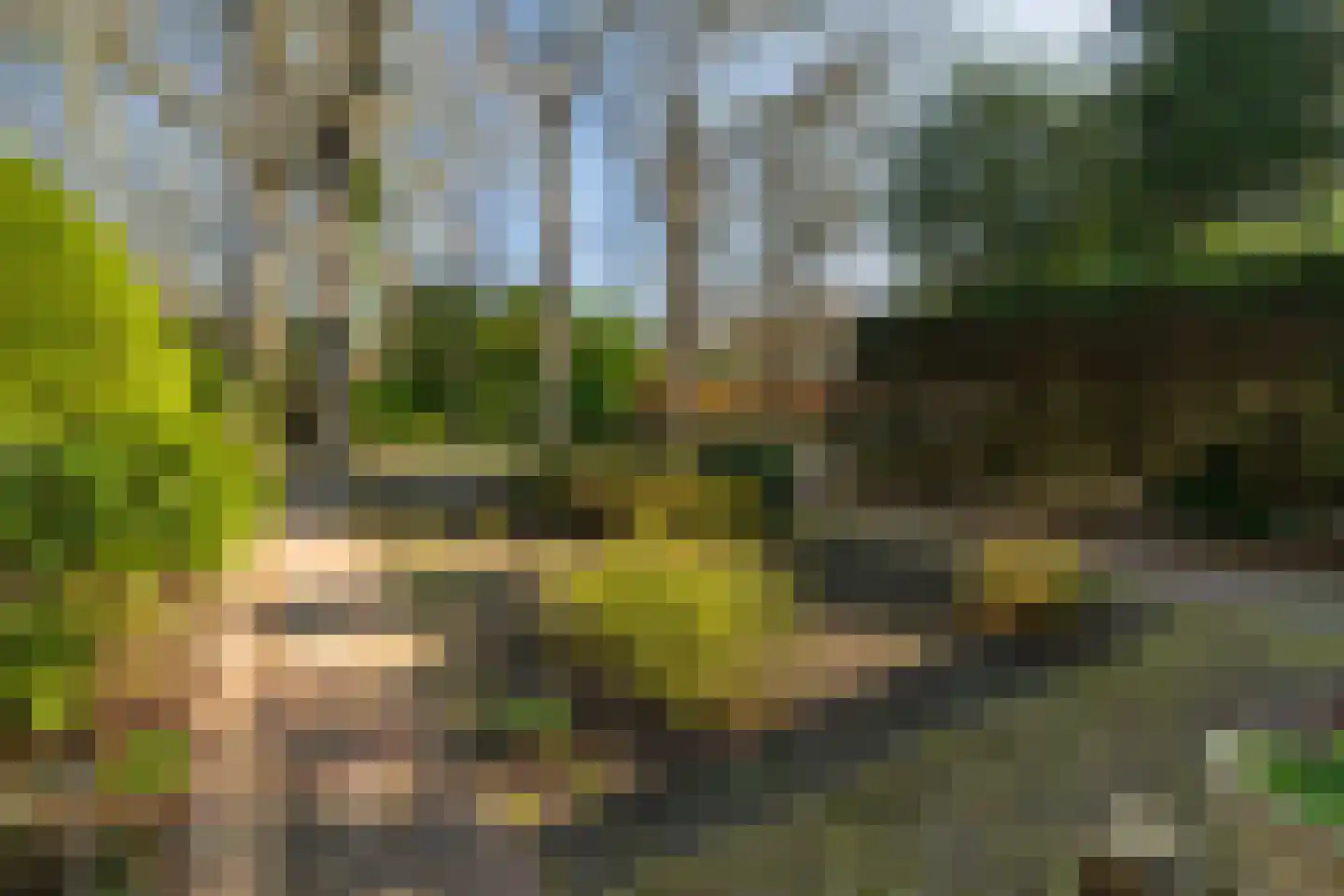 Oud Wassenaarseweg 5 Wassenaar thumbnail 9