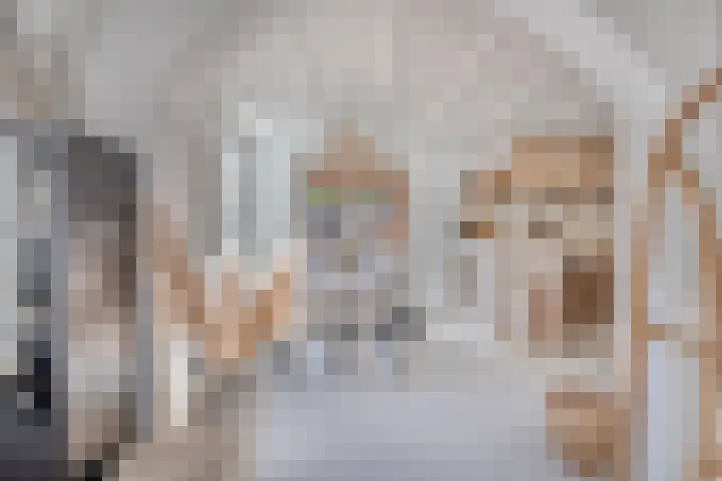 Oud Wulpendorp 15 Warmenhuizen thumbnail 20