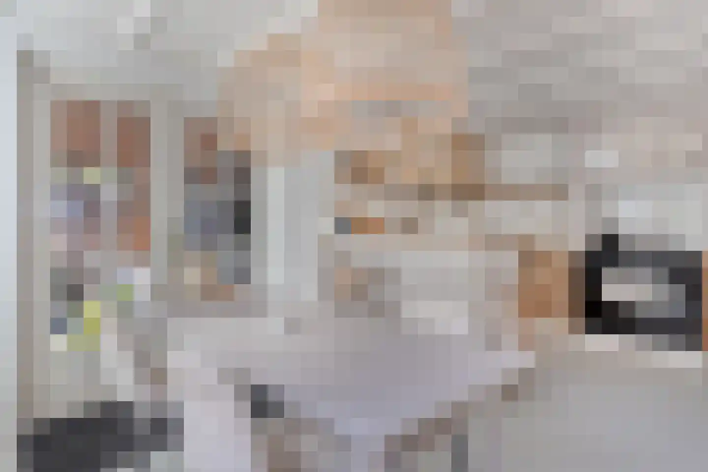 Oud Wulpendorp 15 Warmenhuizen thumbnail 24