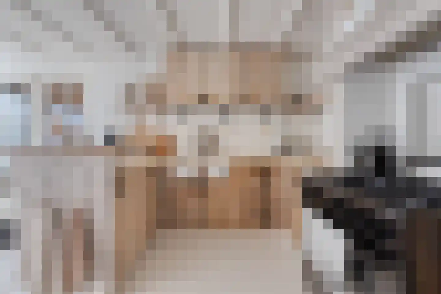 Oud Wulpendorp 15 Warmenhuizen thumbnail 25