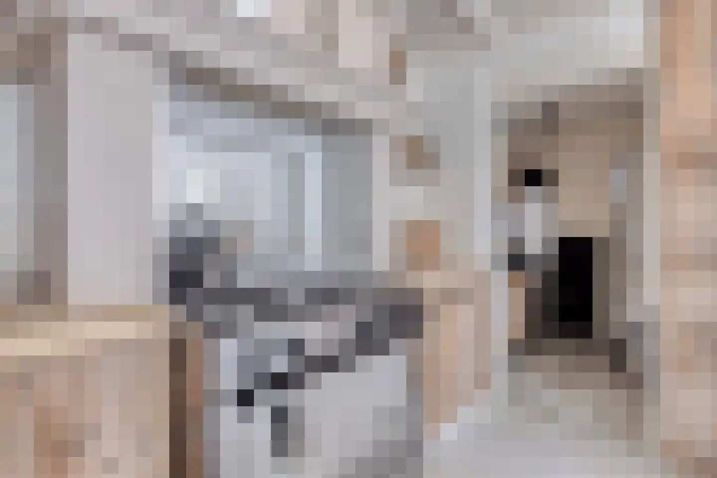 Oud Wulpendorp 15 Warmenhuizen thumbnail 26