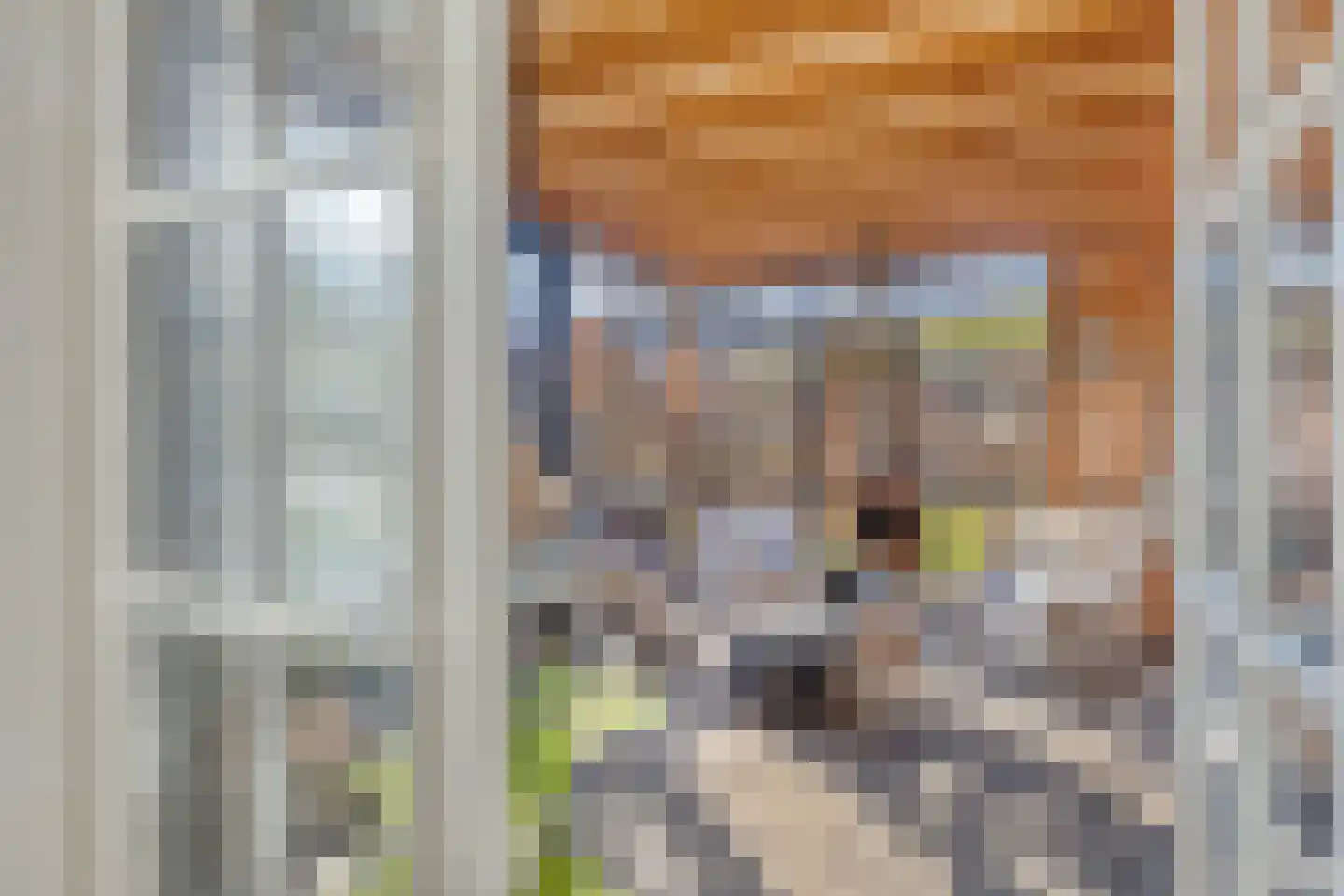 Oud Wulpendorp 15 Warmenhuizen thumbnail 31
