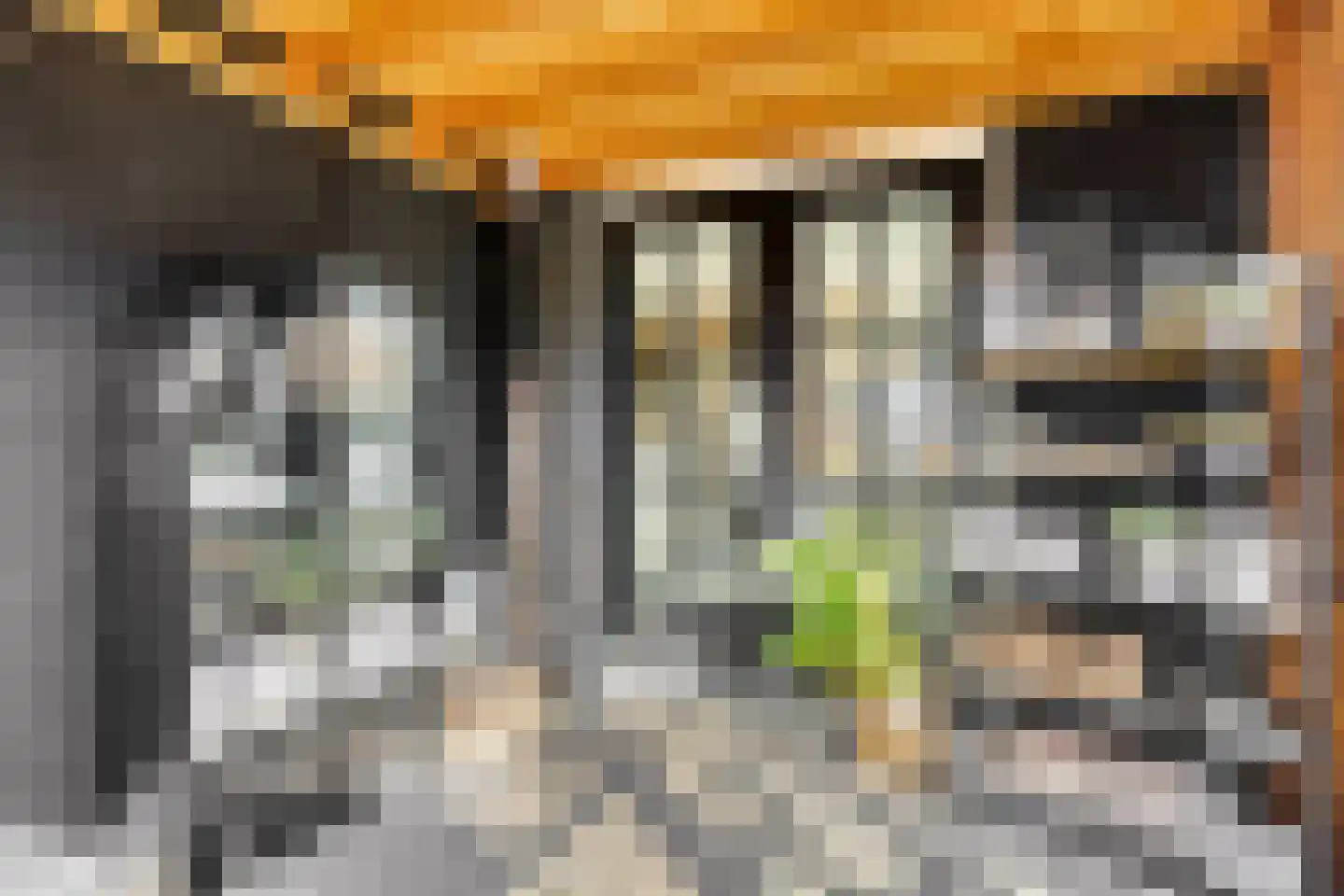 Oud Wulpendorp 15 Warmenhuizen thumbnail 32