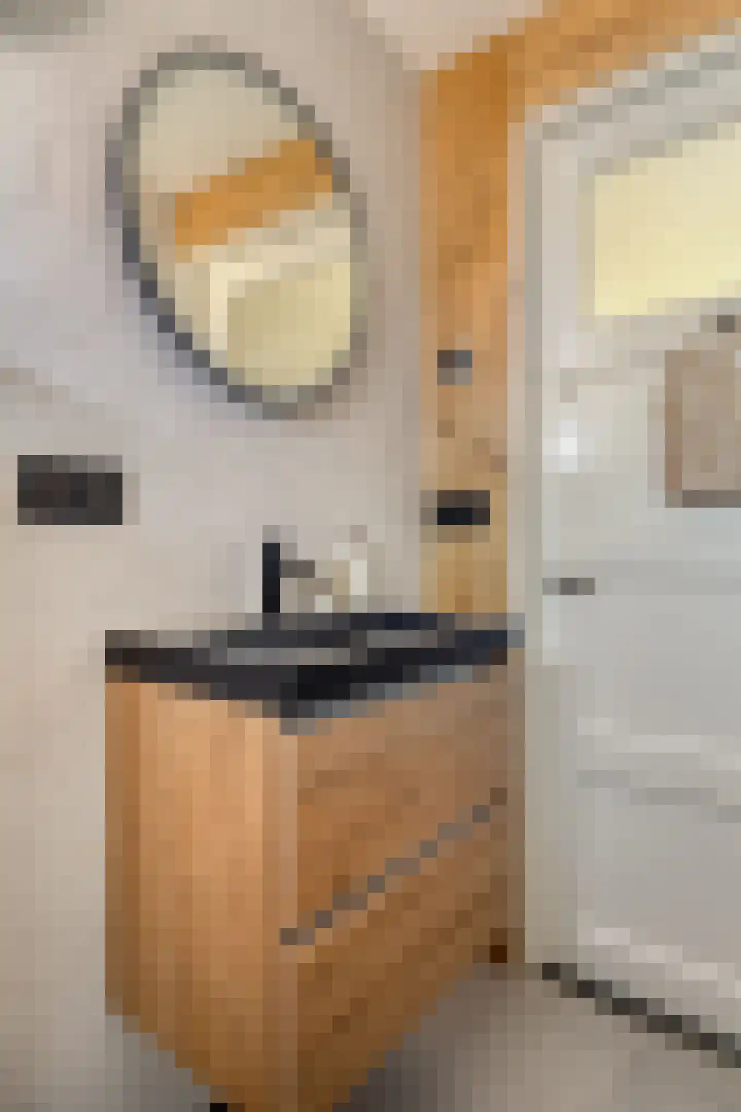 Oud Wulpendorp 15 Warmenhuizen thumbnail 33