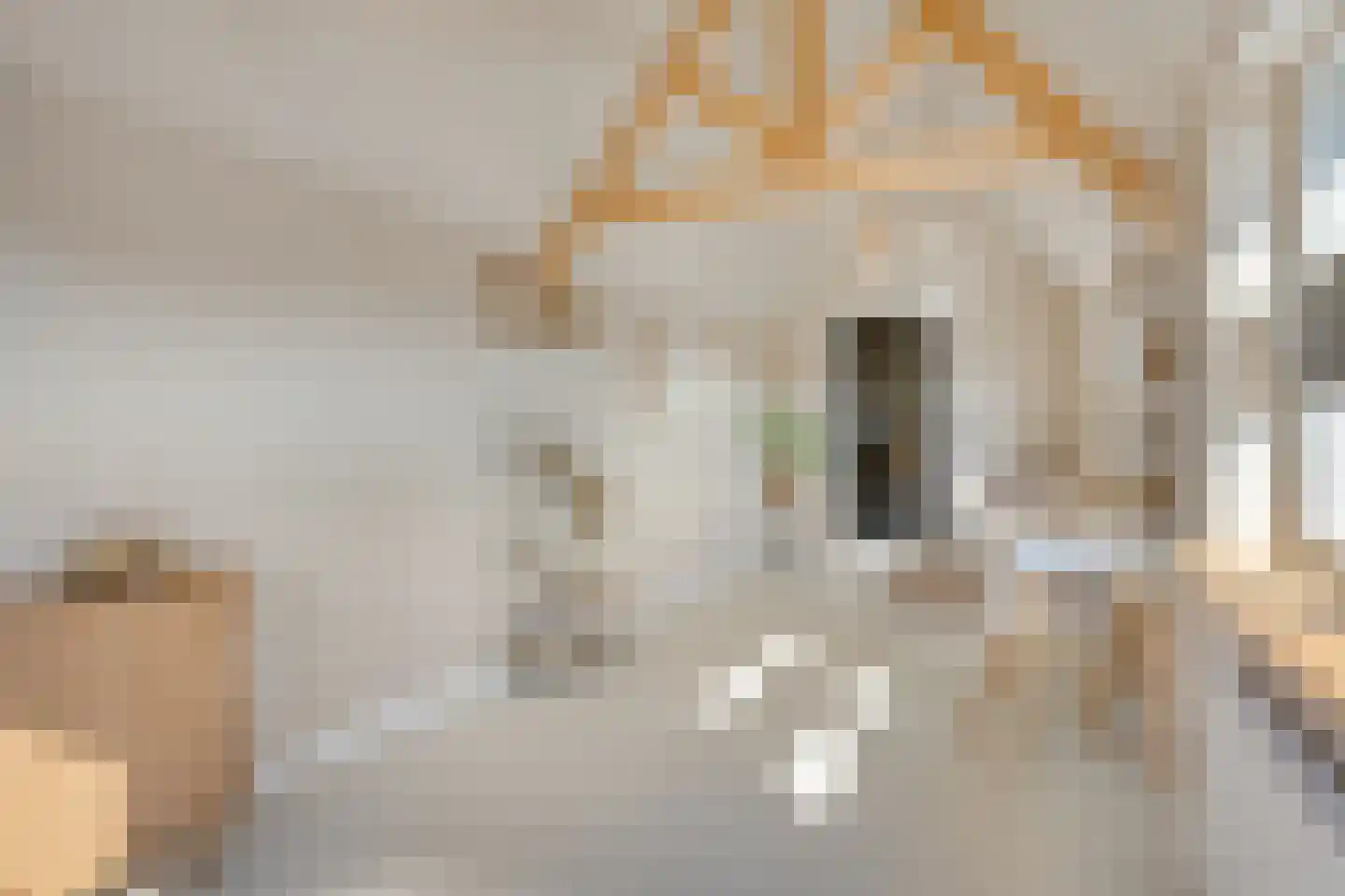 Oud Wulpendorp 15 Warmenhuizen thumbnail 40