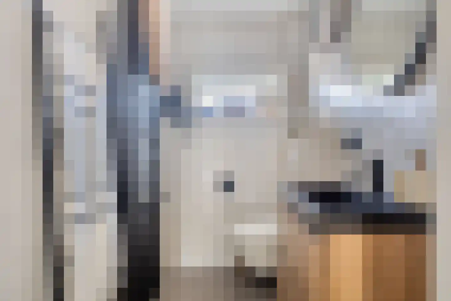 Oud Wulpendorp 15 Warmenhuizen thumbnail 48