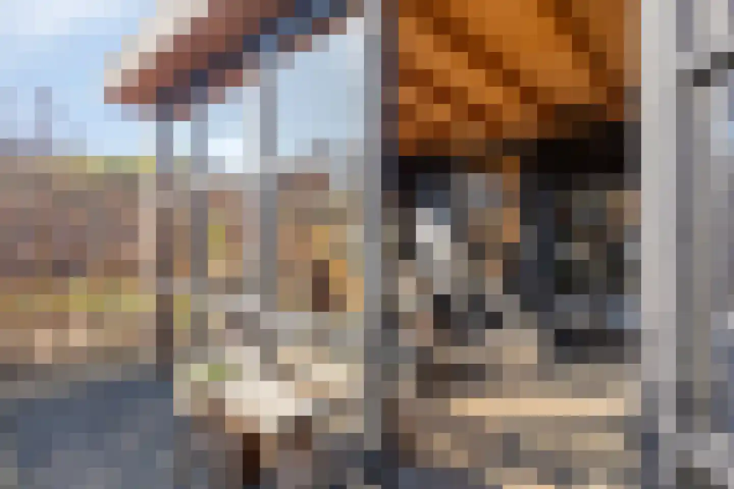 Oud Wulpendorp 15 Warmenhuizen thumbnail 50