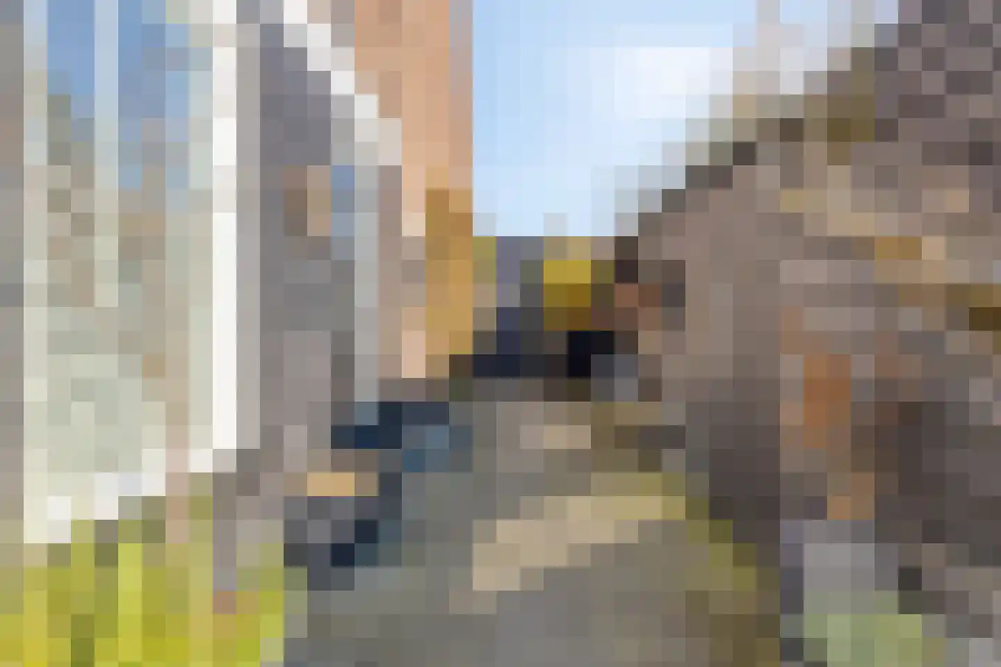Oud Wulpendorp 15 Warmenhuizen thumbnail 51