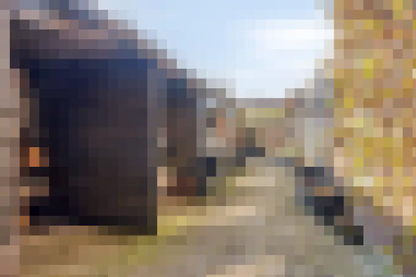 Oud Wulpendorp 15 Warmenhuizen thumbnail 52