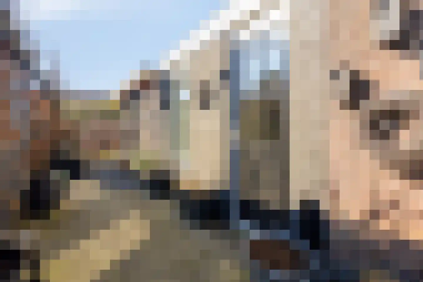 Oud Wulpendorp 15 Warmenhuizen thumbnail 53
