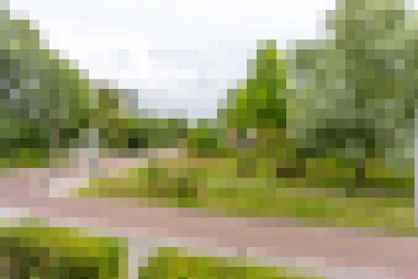 Oud-Wulvenlaan 103 Utrecht thumbnail 18