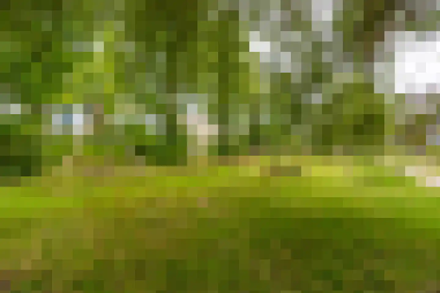 Oud-Wulvenlaan 103 Utrecht thumbnail 30