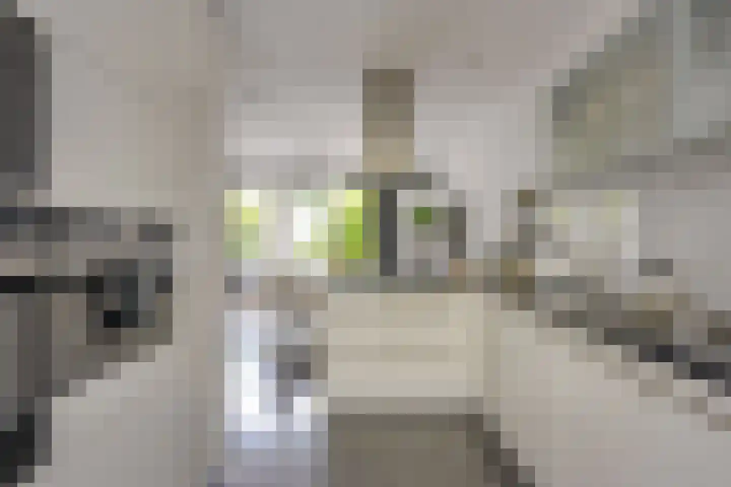 Oud-Wulvenlaan 125 Utrecht thumbnail 13