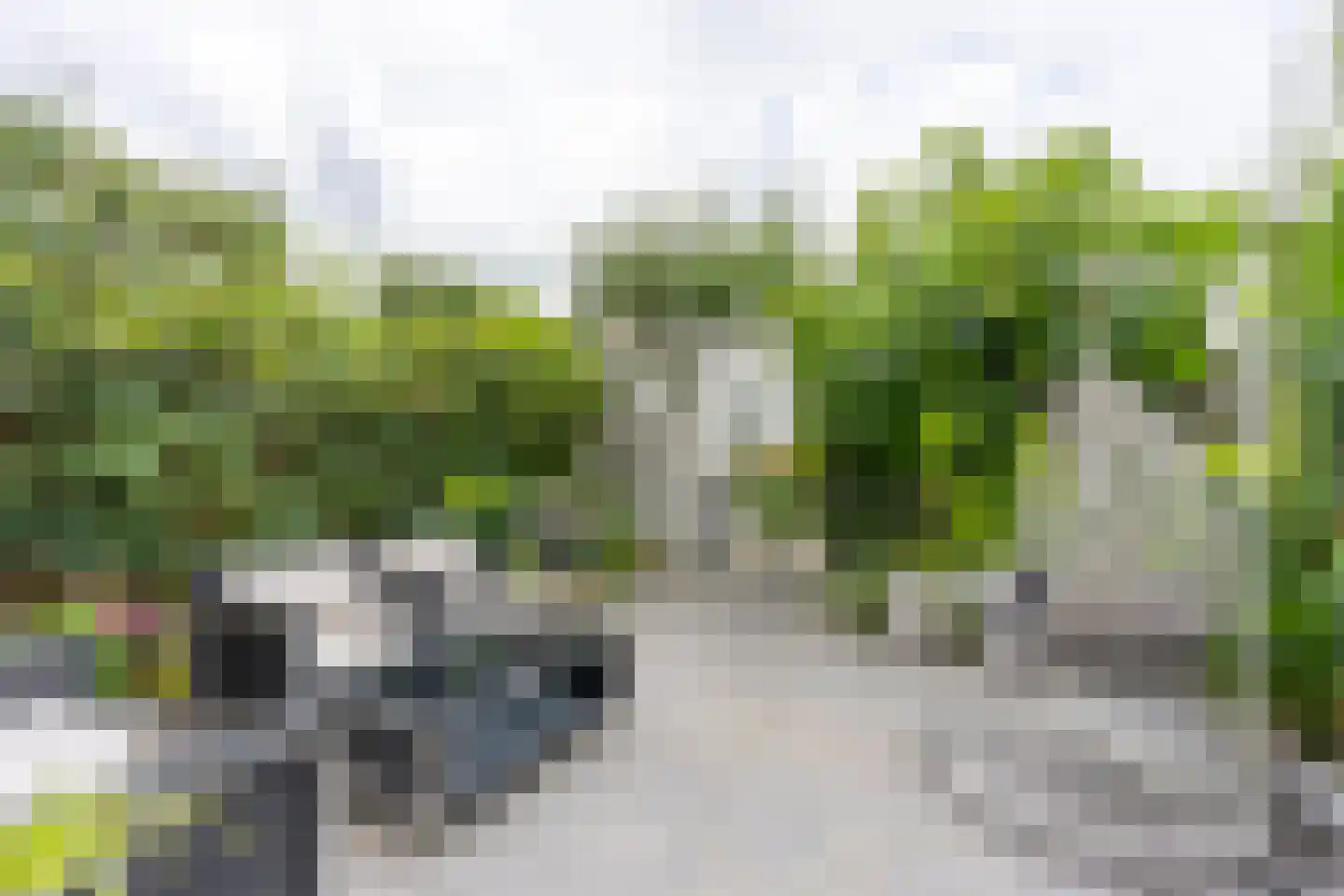 Oud-Wulvenlaan 125 Utrecht thumbnail 14