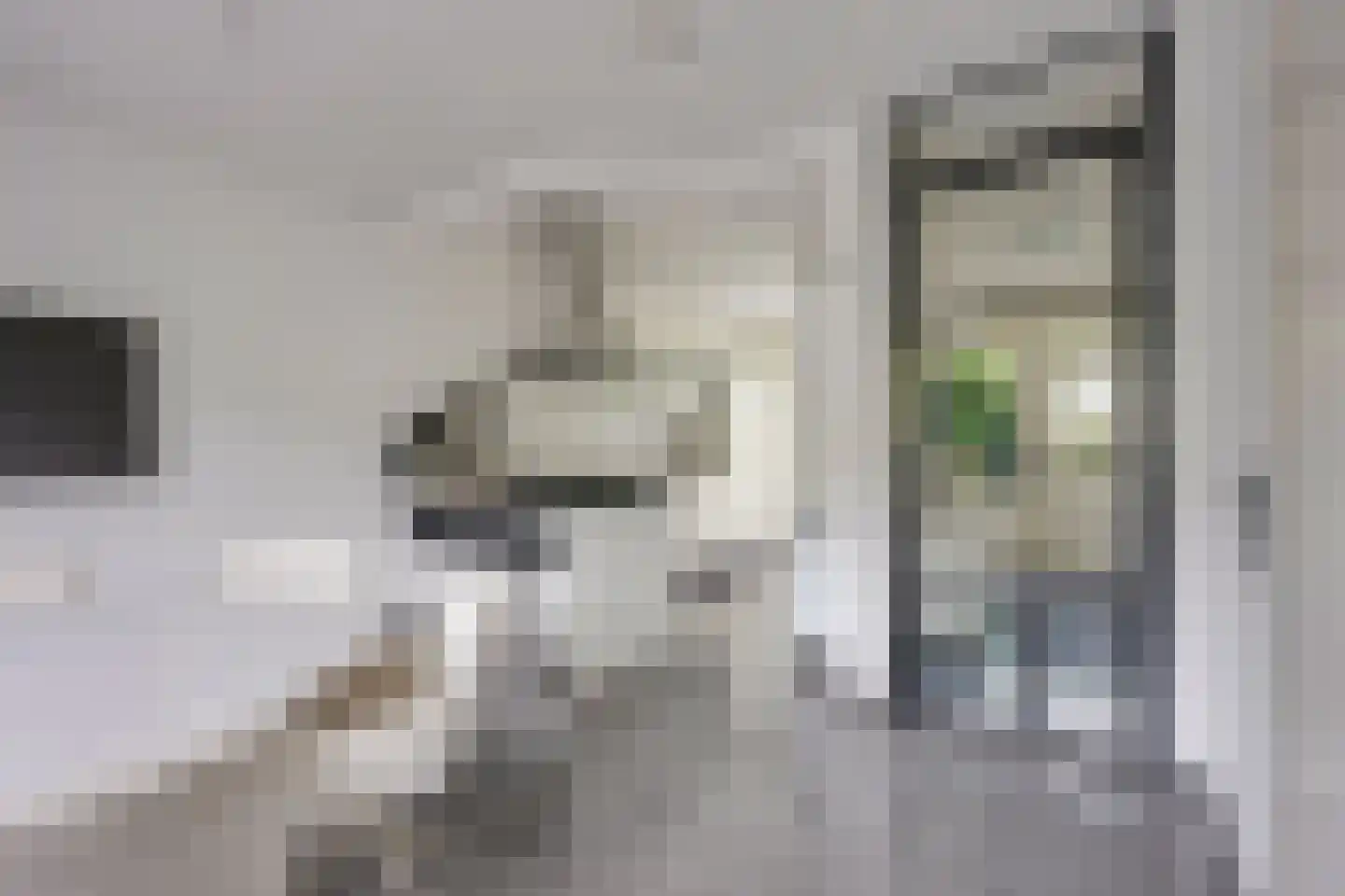 Oud-Wulvenlaan 125 Utrecht thumbnail 9