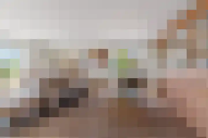 Oud Zevenaarsedijk 1 Zevenaar thumbnail 14