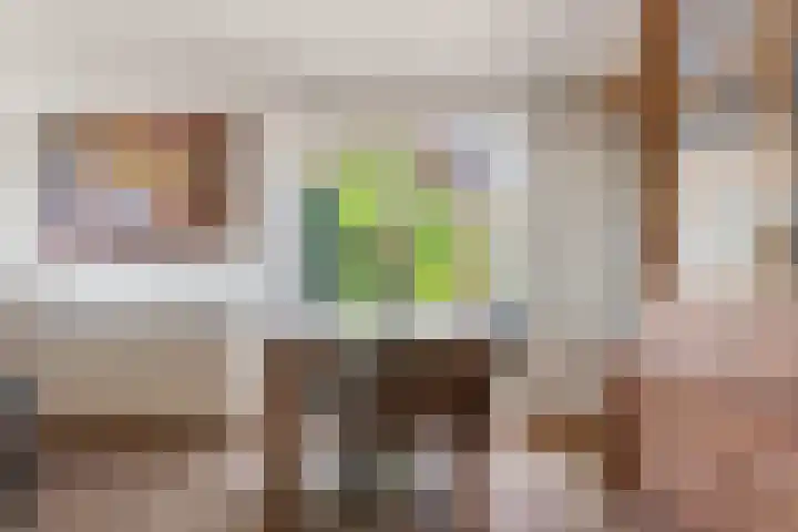 Oud Zevenaarsedijk 1 Zevenaar thumbnail 16