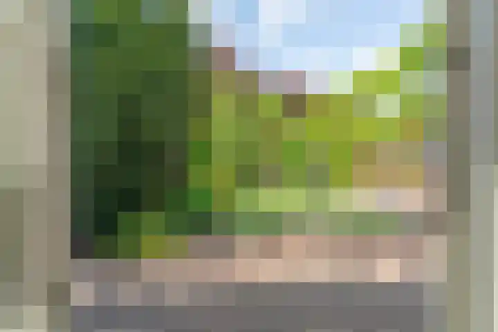 Oud Zevenaarsedijk 1 Zevenaar thumbnail 18