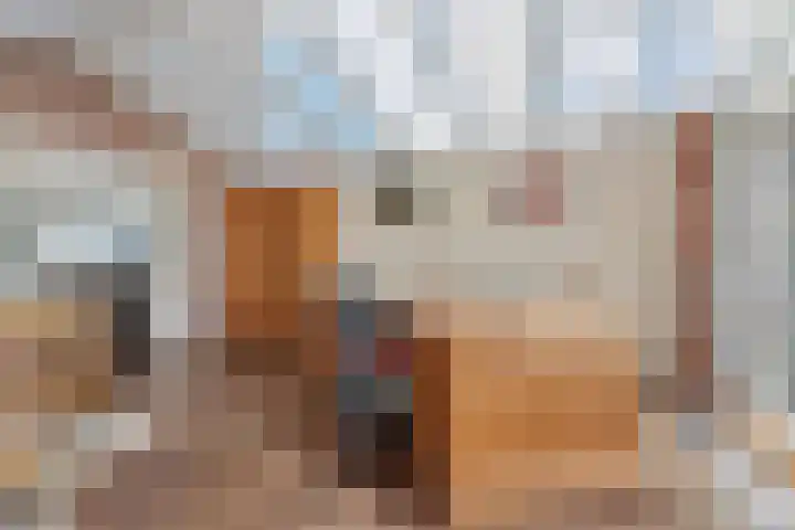 Oud Zevenaarsedijk 1 Zevenaar thumbnail 21