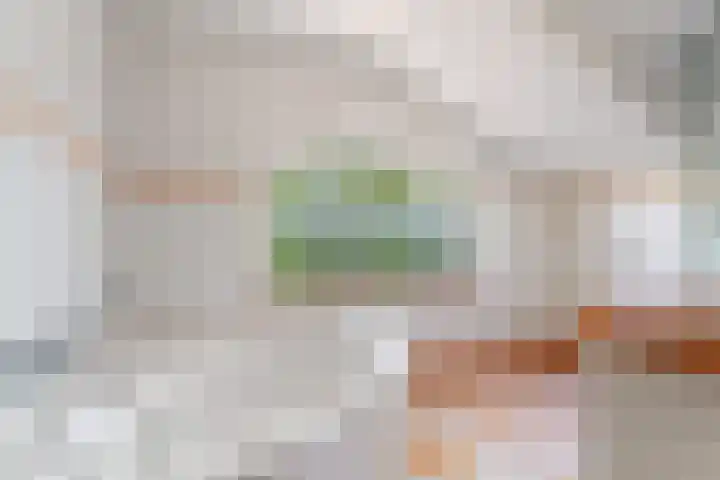 Oud Zevenaarsedijk 1 Zevenaar thumbnail 32