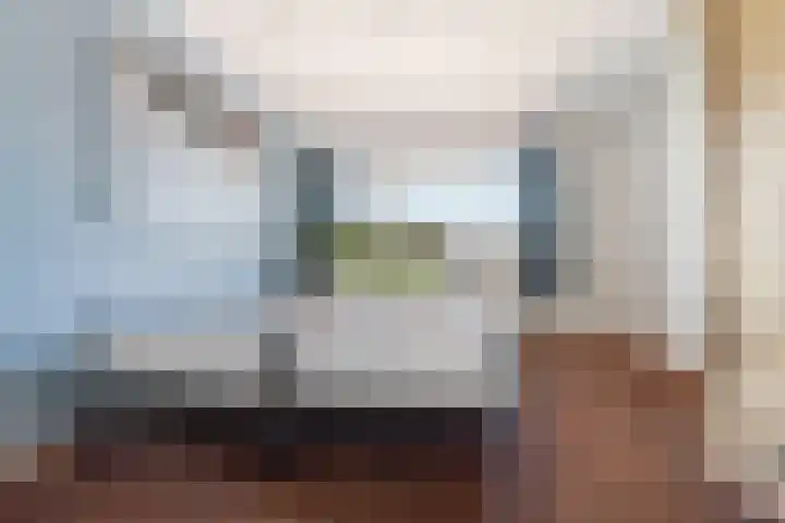 Oud Zevenaarsedijk 1 Zevenaar thumbnail 36